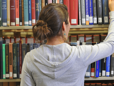 Student browsing books