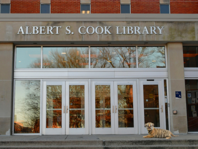 Tiger cub sitting in front of the library
