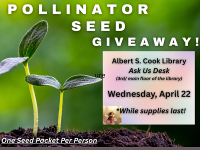 photo of a sprout growing from dirt for pollinator seed giveaway