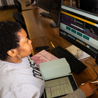 Librarian conducting evidence synthesis work at a computer with notes